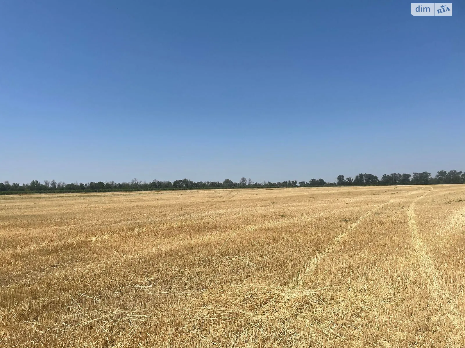 Здається в оренду земельна ділянка 10 соток у Одеській області, цена: 41380 грн - фото 1