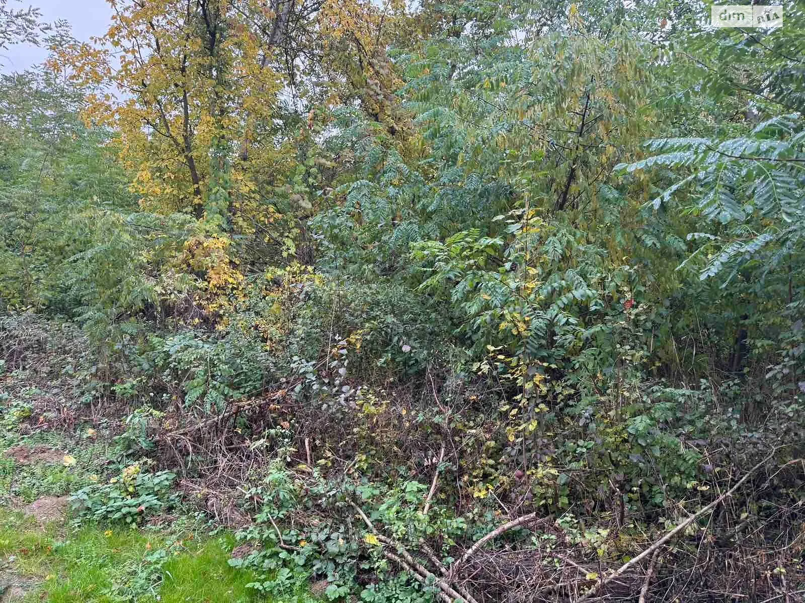 Холмец, цена: 172 грн - фото 1