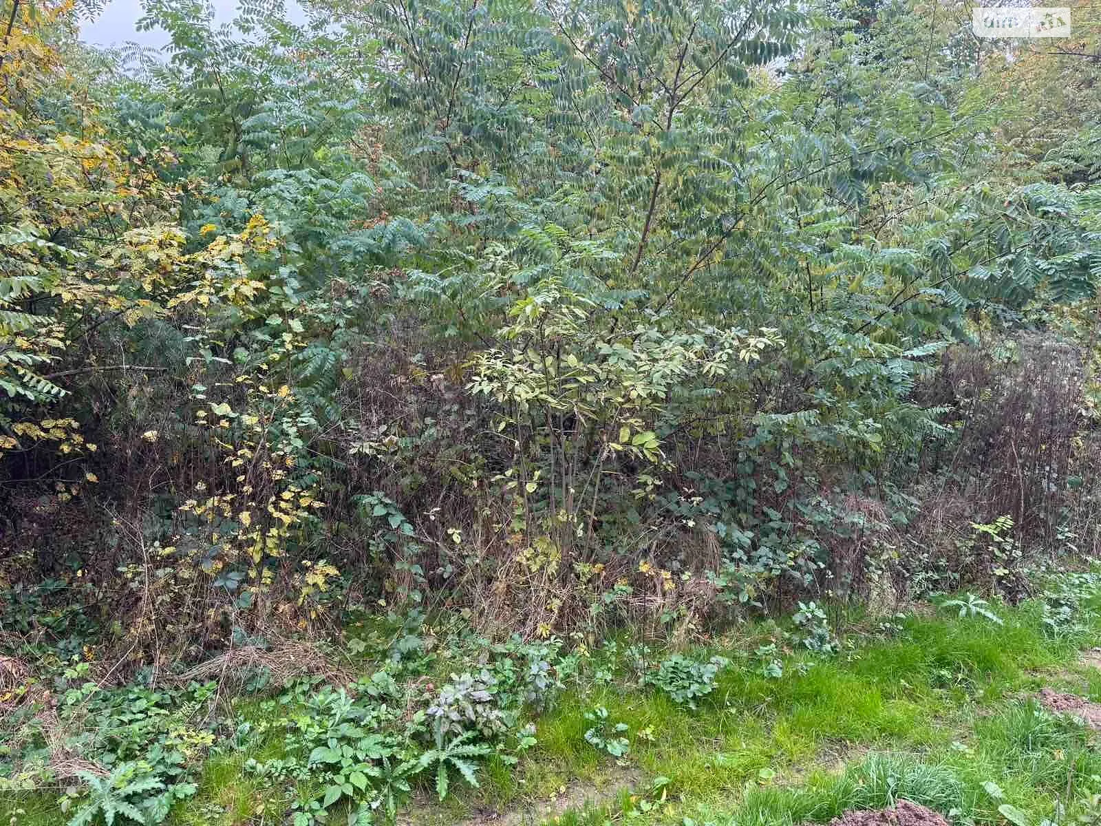 Холмец, цена: 260 грн - фото 1