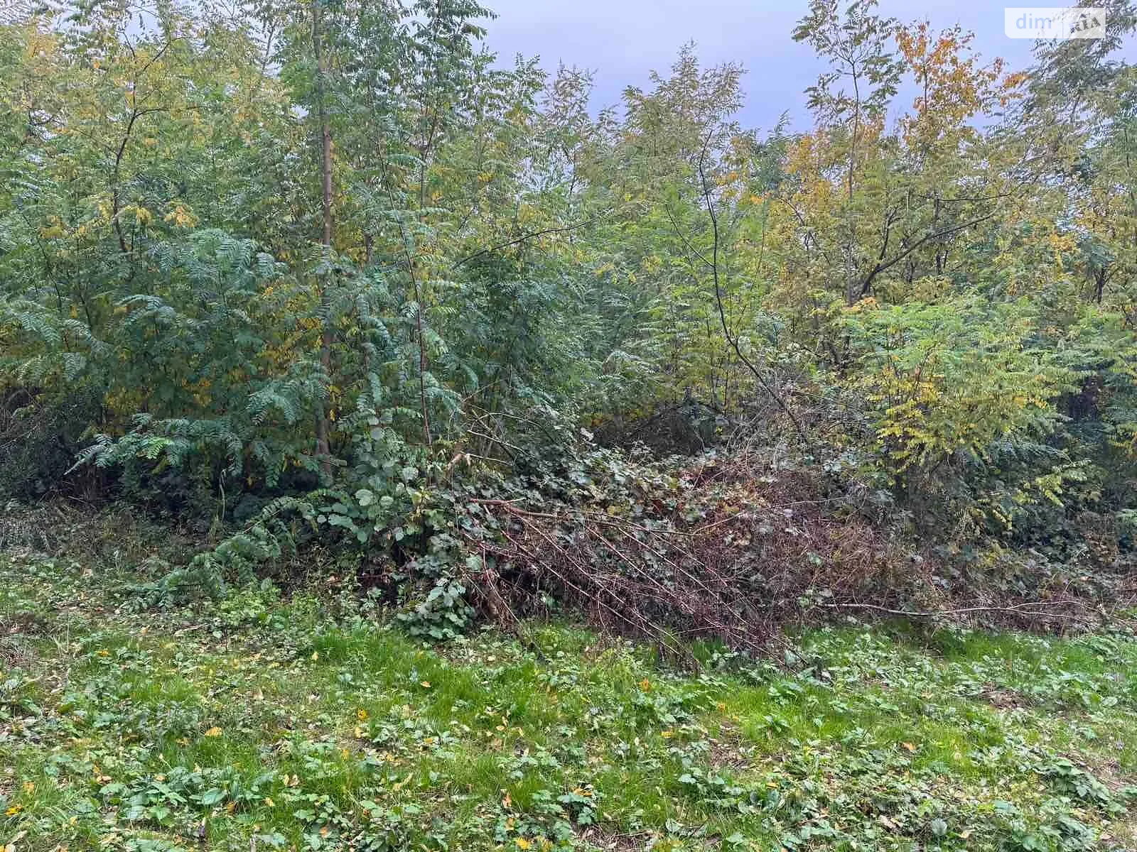 Холмец, цена: 1461 грн - фото 1