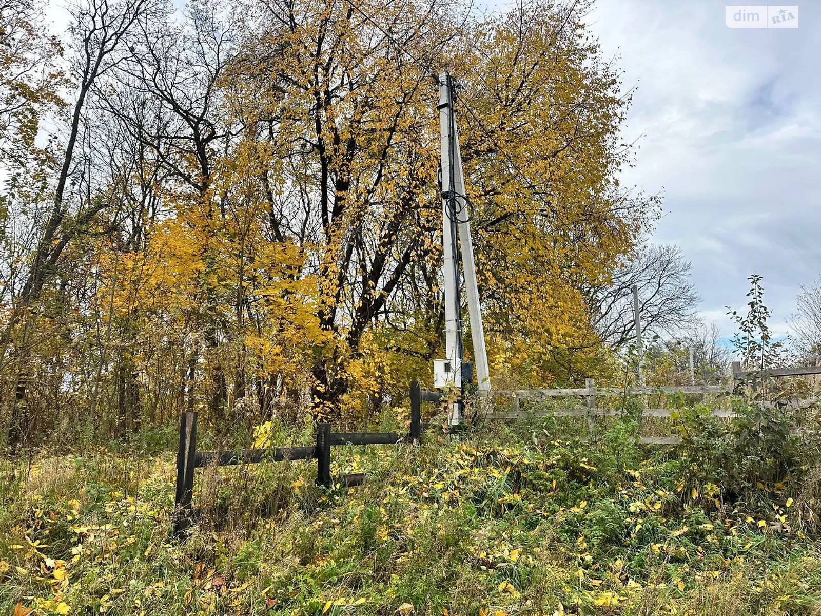 Продается земельный участок 10 соток в Львовской области, цена: 80000 $ - фото 1