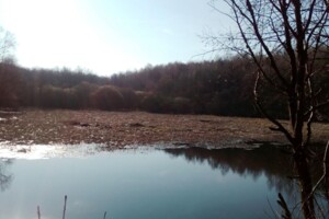 Аренда земельных участков в Стрию Сниму земельный участок в Стрию долгосрочно