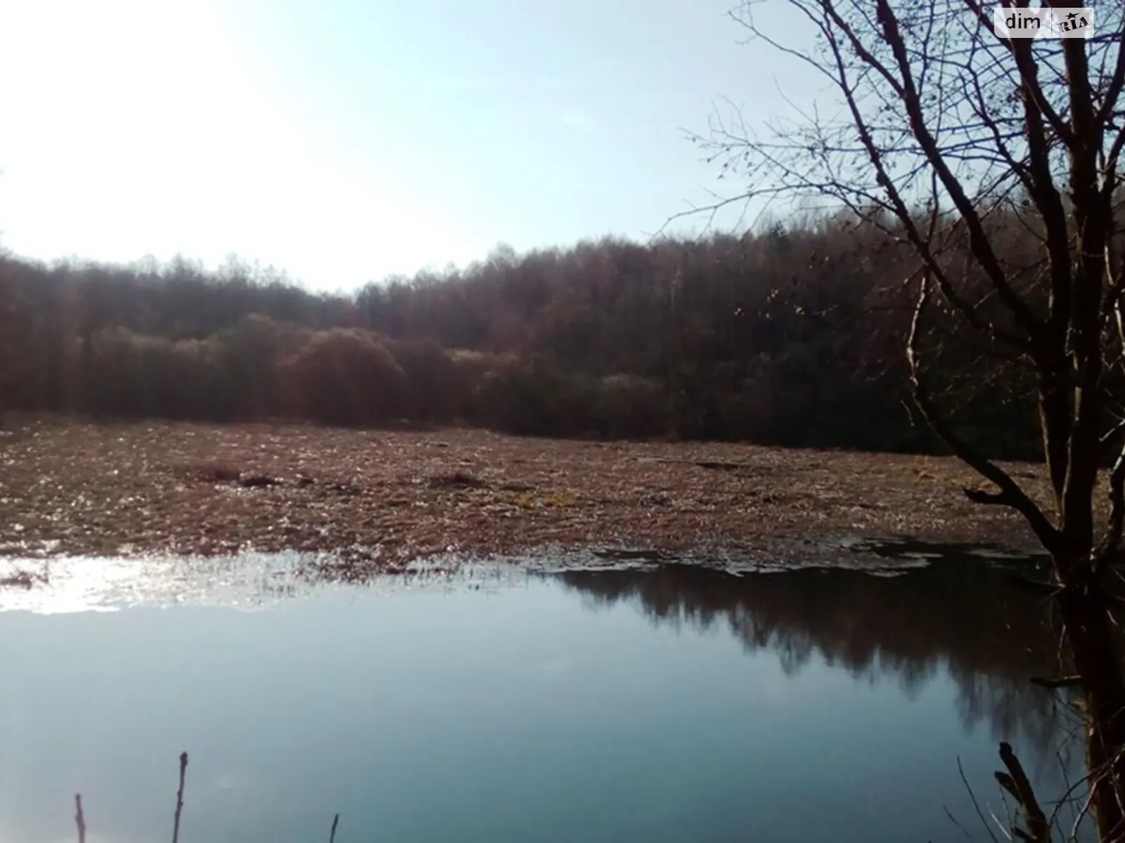 Сдается в аренду земельный участок 1.1655 соток в Львовской области, цена: 825 грн - фото 1