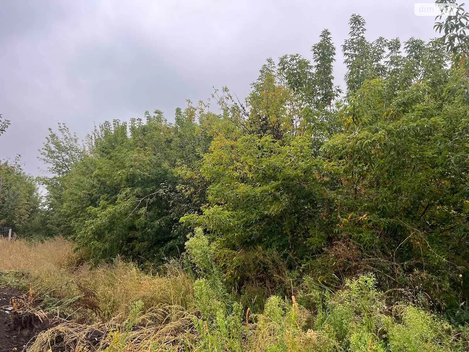 Продається земельна ділянка 0.7 соток у Чернігівській області, цена: 346850 грн - фото 1