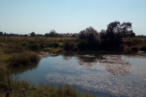 Аренда земельных участков в Стрию Сниму земельный участок в Стрию долгосрочно