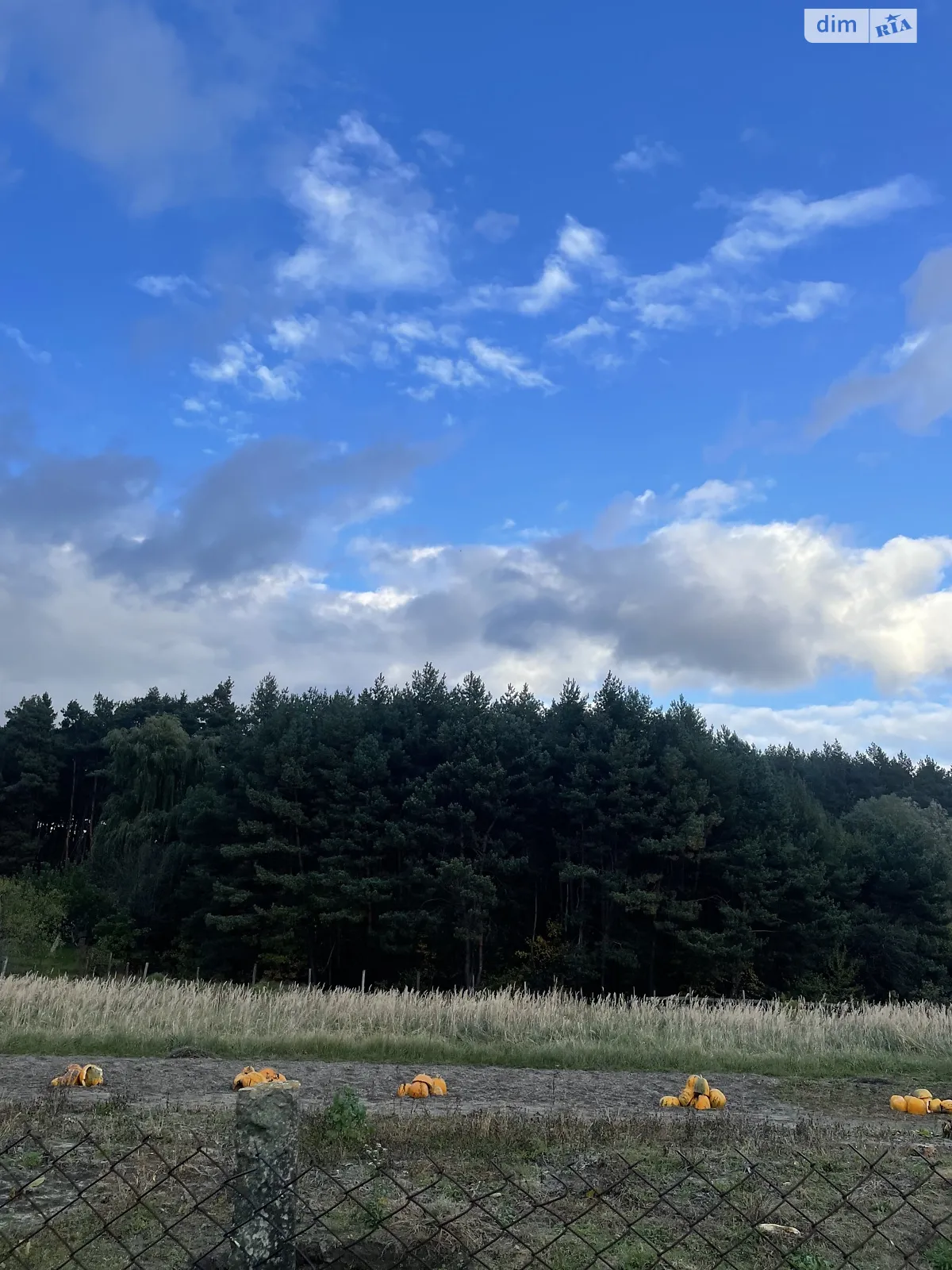 Продається одноповерховий будинок 59.9 кв. м з садом, цена: 32000 $ - фото 1