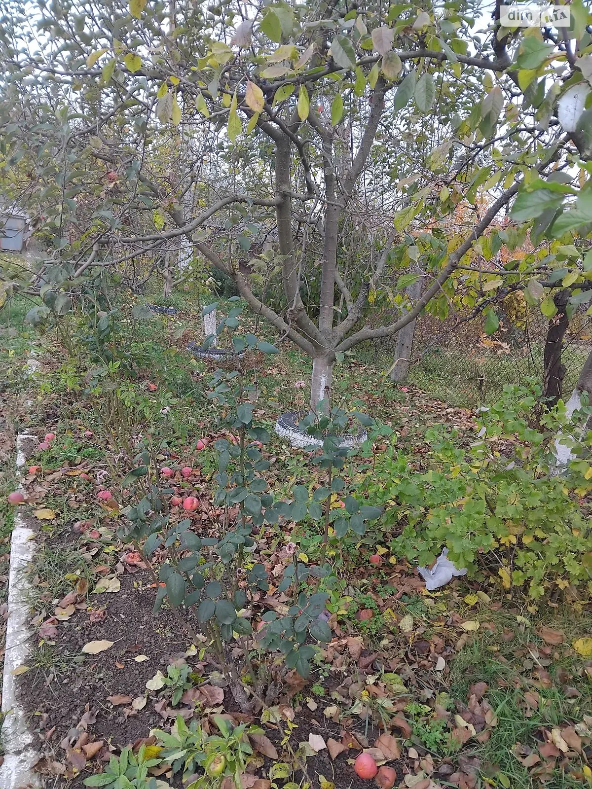 Здається в оренду земельна ділянка 0.0564 соток у Хмельницькій області, цена: 3745 грн - фото 1