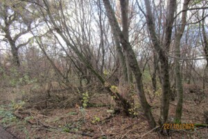 Аренда участков земли Аренда участков