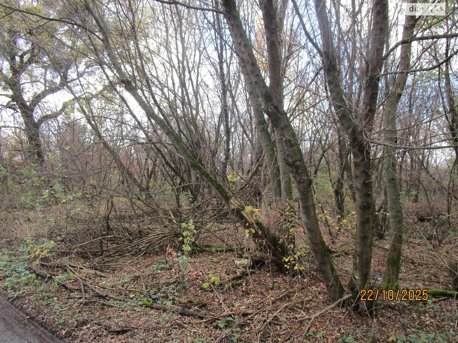 Здається в оренду земельна ділянка 1.8201 соток у Сумській області, цена: 478485 грн - фото 1