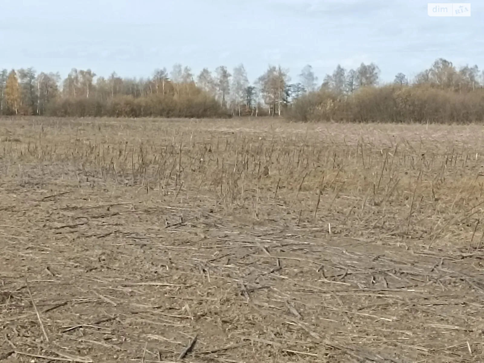 Здається в оренду земельна ділянка 17.6376 соток у Житомирській області, цена: 24544 грн - фото 1