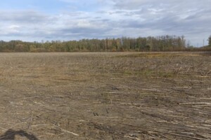 Аренда участков земли Аренда участков