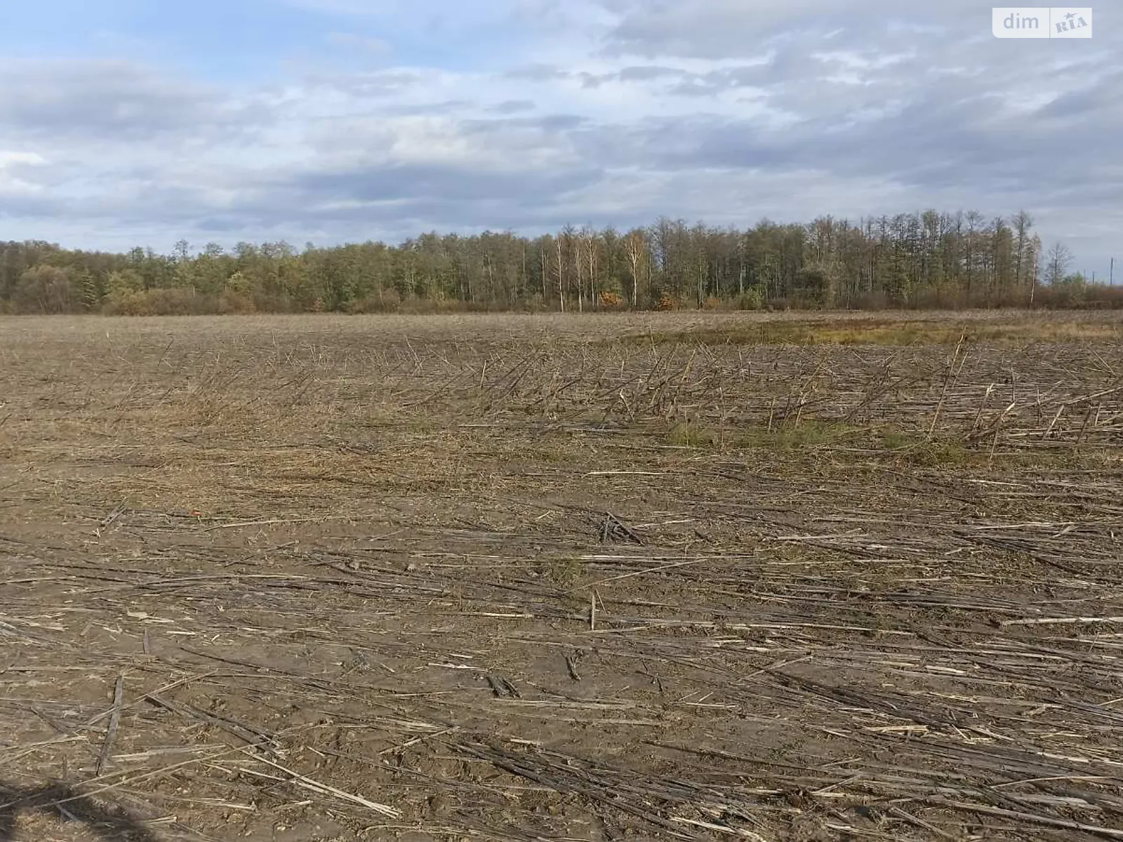 Здається в оренду земельна ділянка 17 соток у Житомирській області, цена: 22509 грн - фото 1