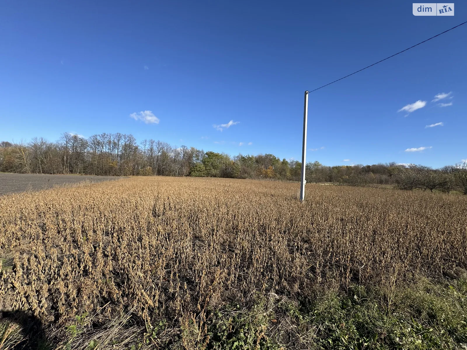 Продается земельный участок 25 соток в Винницкой области, цена: 22500 $ - фото 1