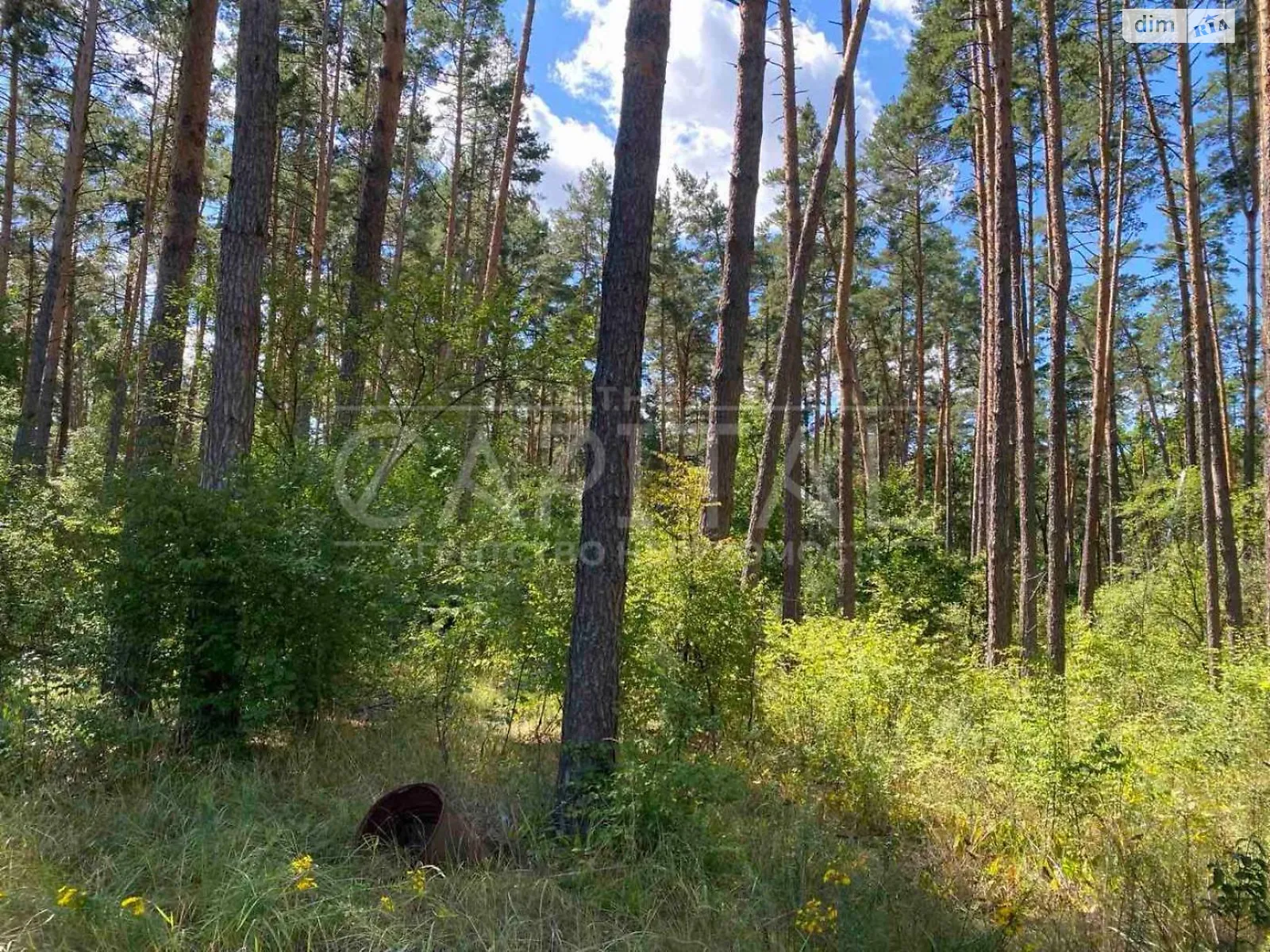 Продается земельный участок 10 соток в Киевской области, цена: 35000 $ - фото 1