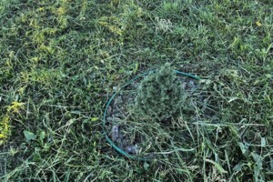 Купить участок земли Продажа земли