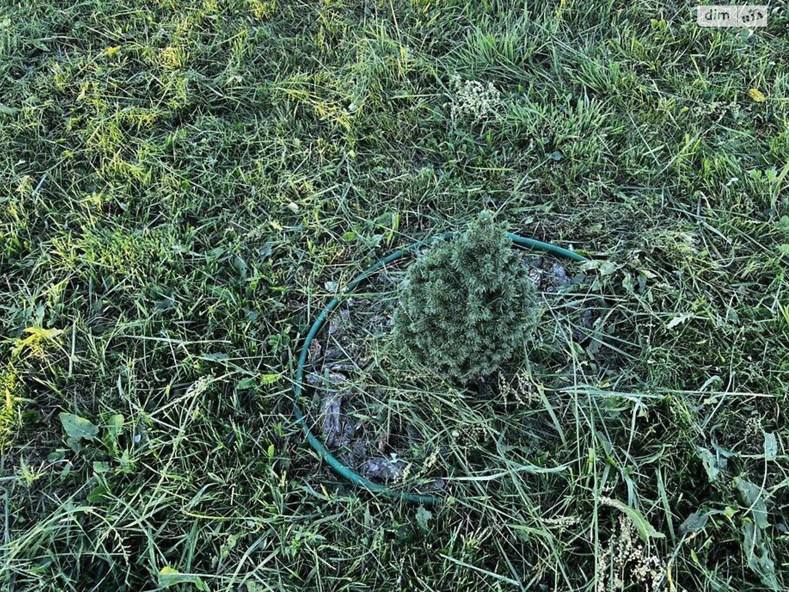 Продается земельный участок 6 соток в Львовской области, цена: 27500 $ - фото 1