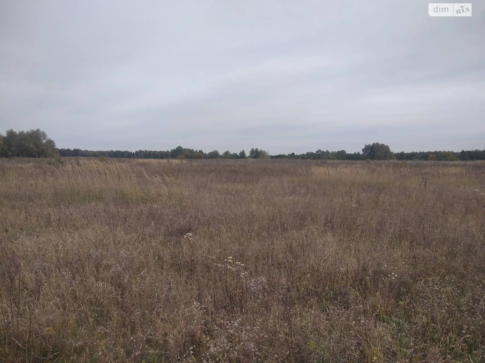 Сдается в аренду земельный участок 4.6253 соток в Черниговской области, цена: 9142 грн - фото 1