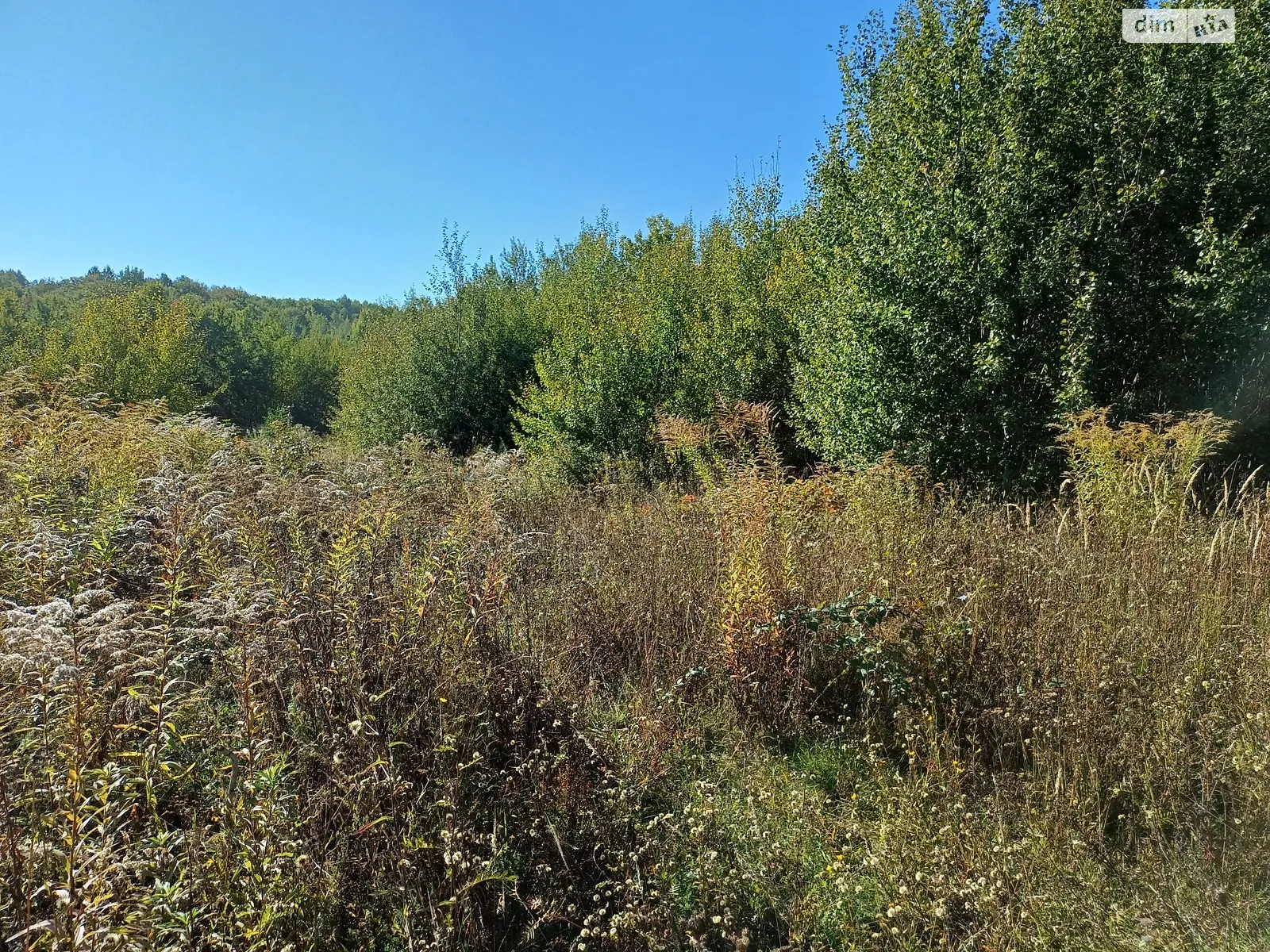 вул. Лісова Циганівці, цена: 10000 $ - фото 1