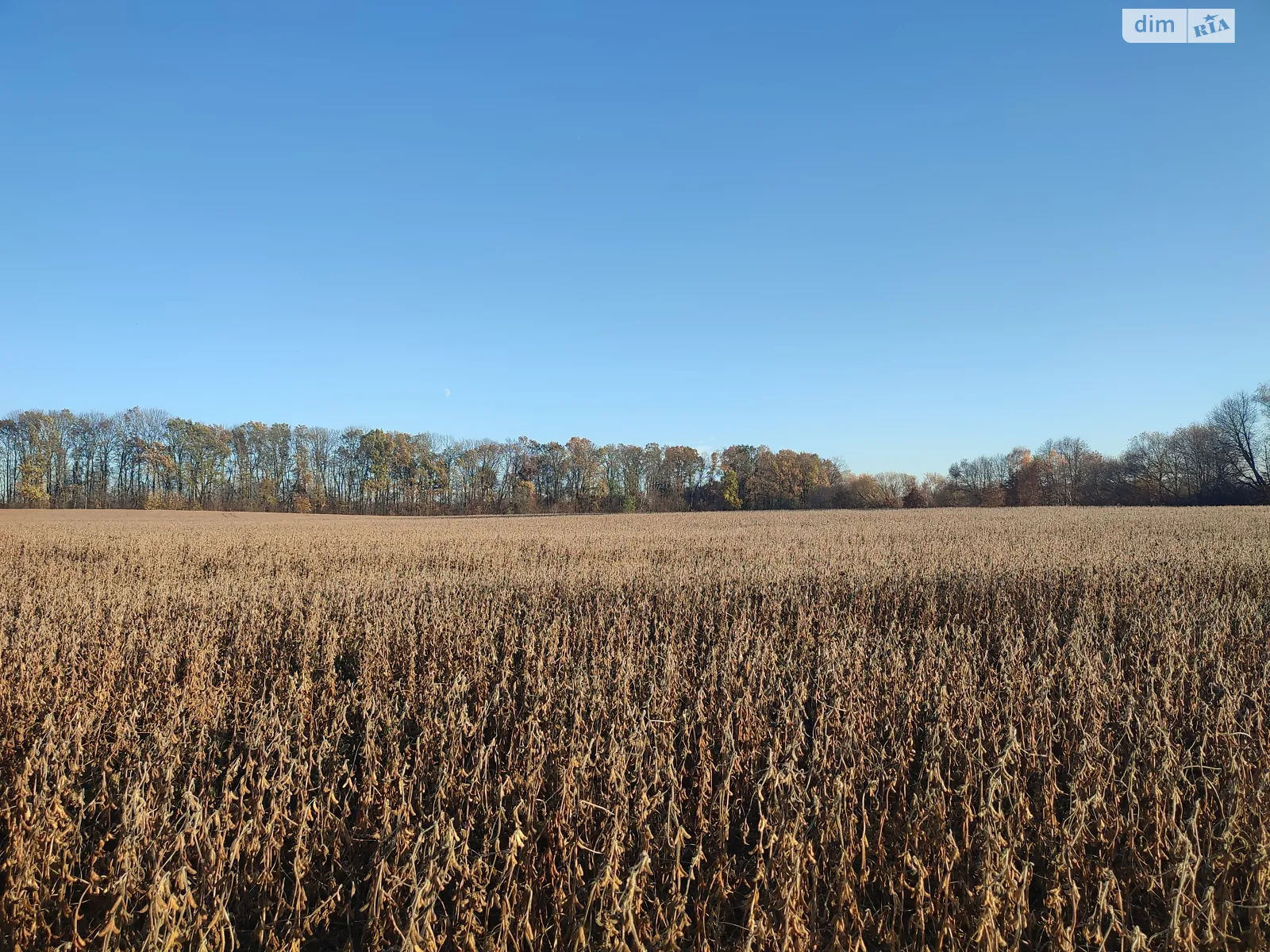 ул. Барвинковая Якушинцы, цена: 200000 $ - фото 1