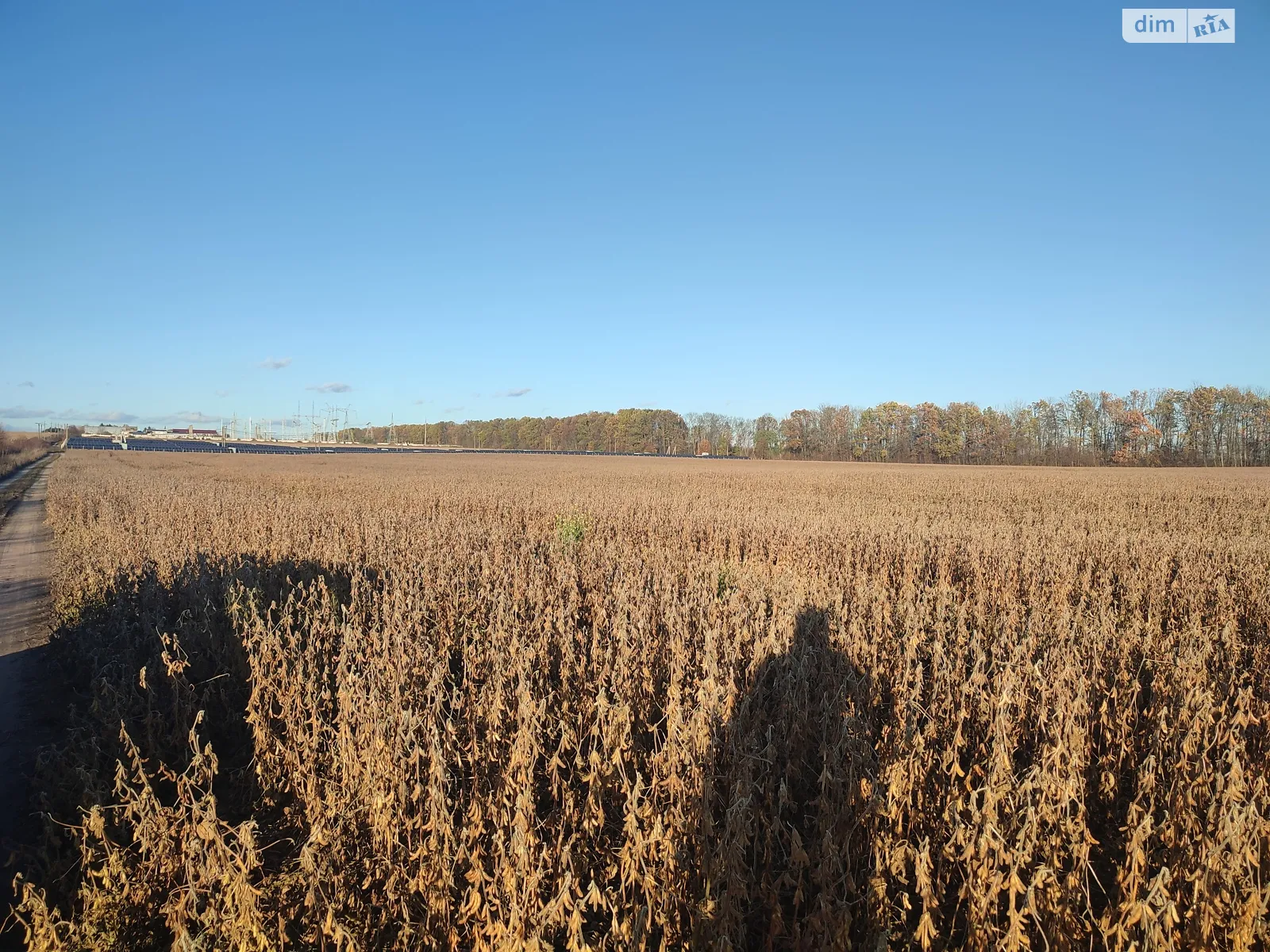 Продається земельна ділянка 150 соток у Вінницькій області, цена: 150000 $ - фото 1