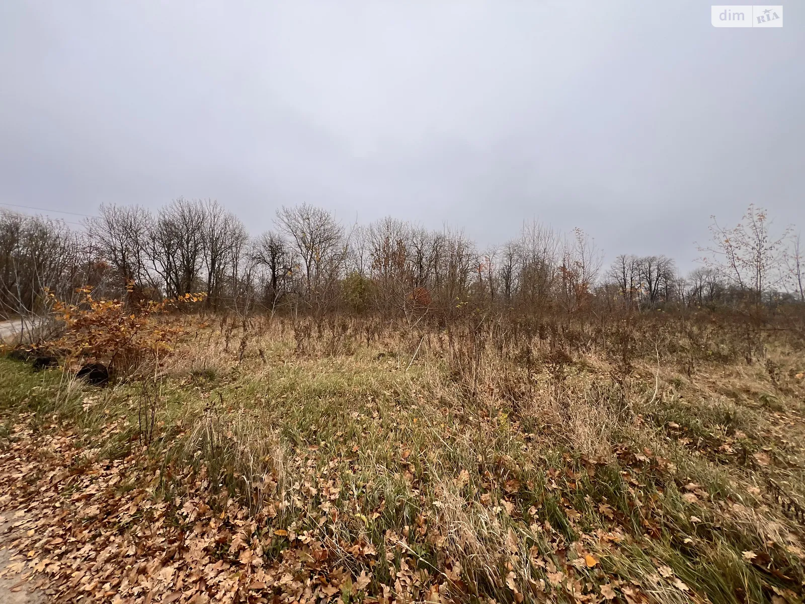Продается земельный участок 46 соток в Винницкой области, цена: 22000 $ - фото 1