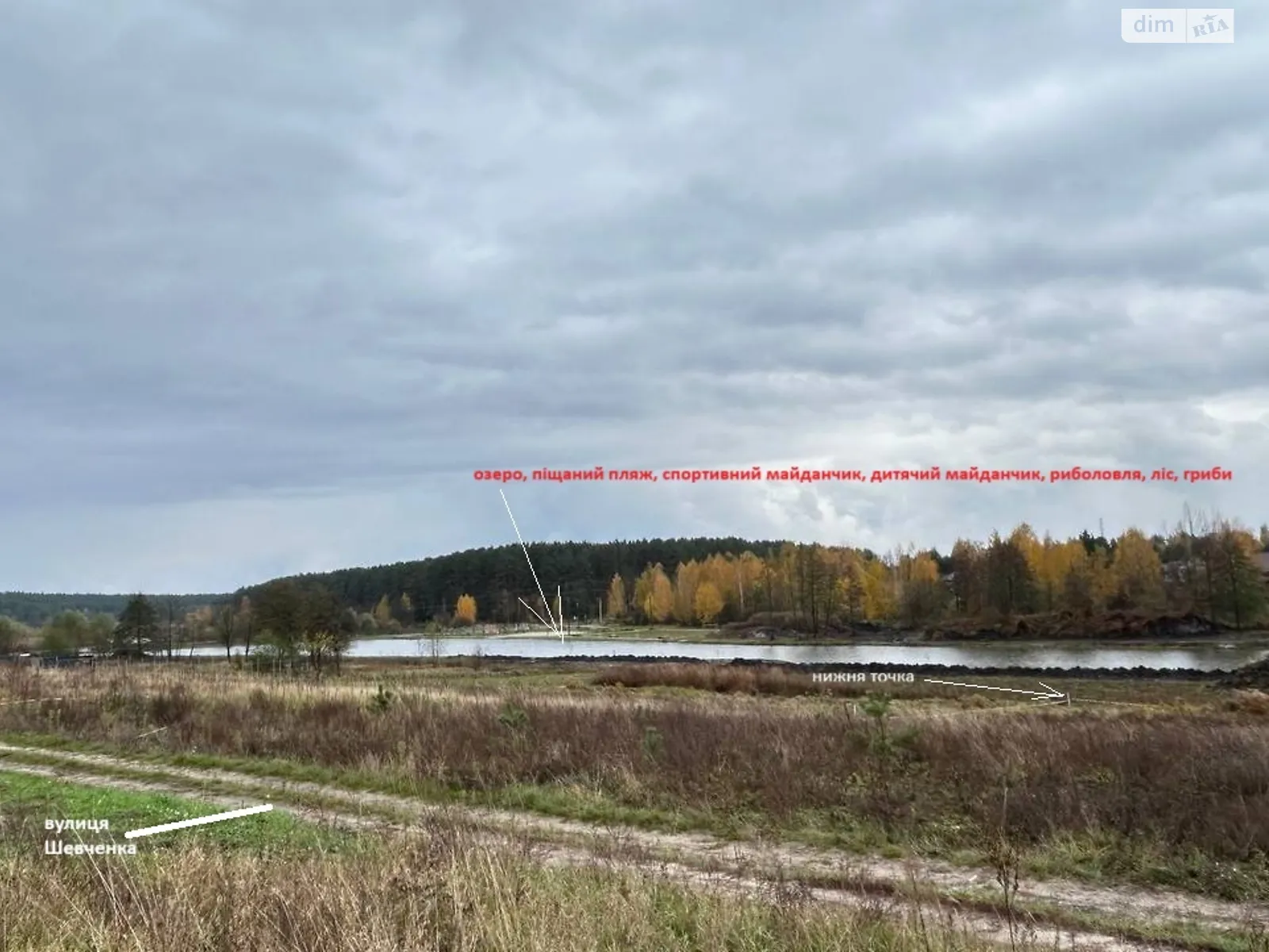 вул. Шевченко Липовий Скиток, цена: 30000 $ - фото 1