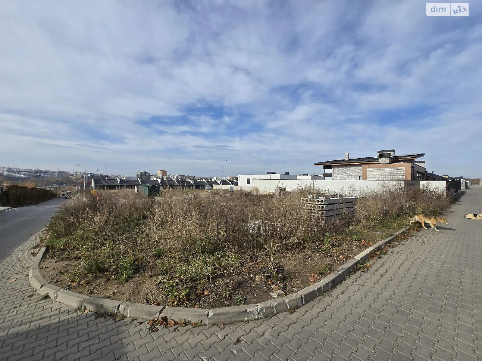 Лучіно паваротті Дендропарковый Хмельницкий, цена: 59999 $ - фото 1