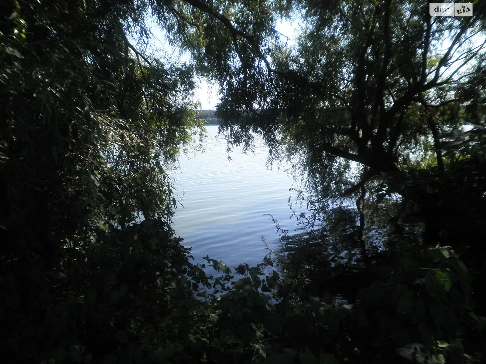 Продается земельный участок 30.36 соток в Хмельницкой области, цена: 25000 $ - фото 1