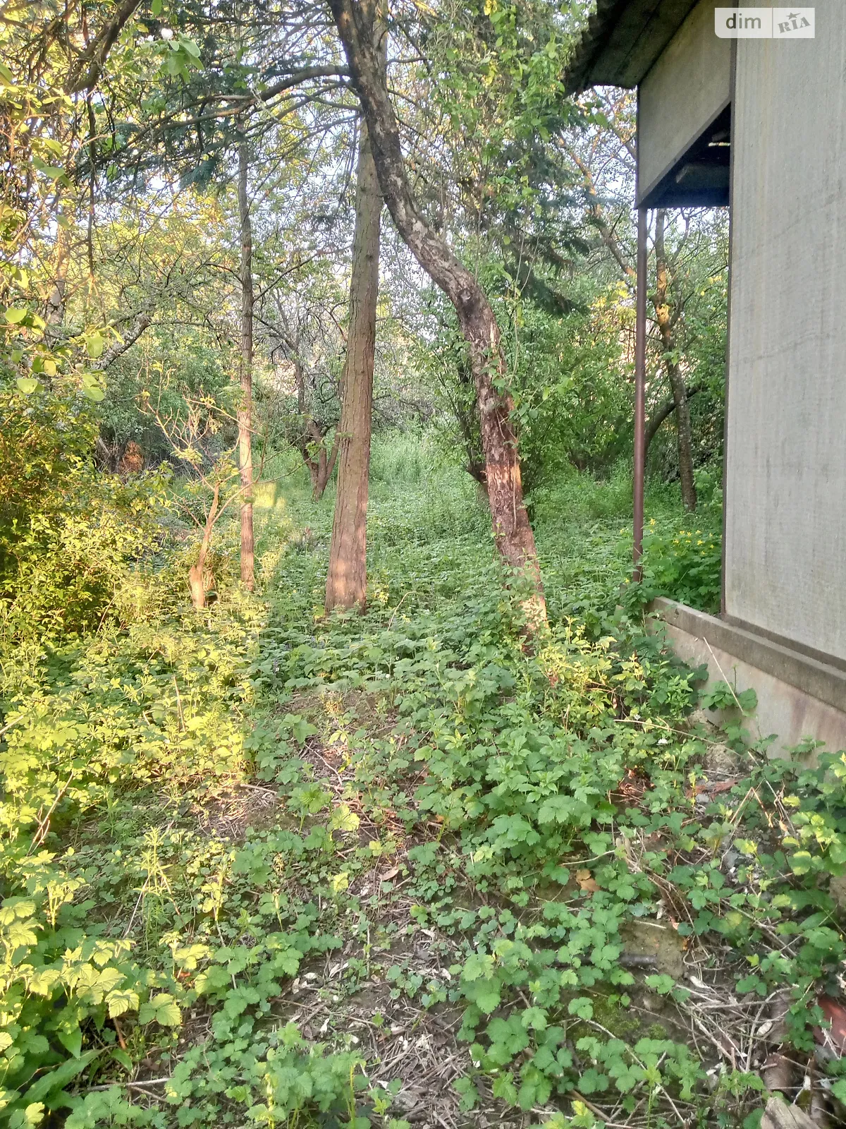 Продается земельный участок 6 соток в Закарпатской области, цена: 7000 $ - фото 1