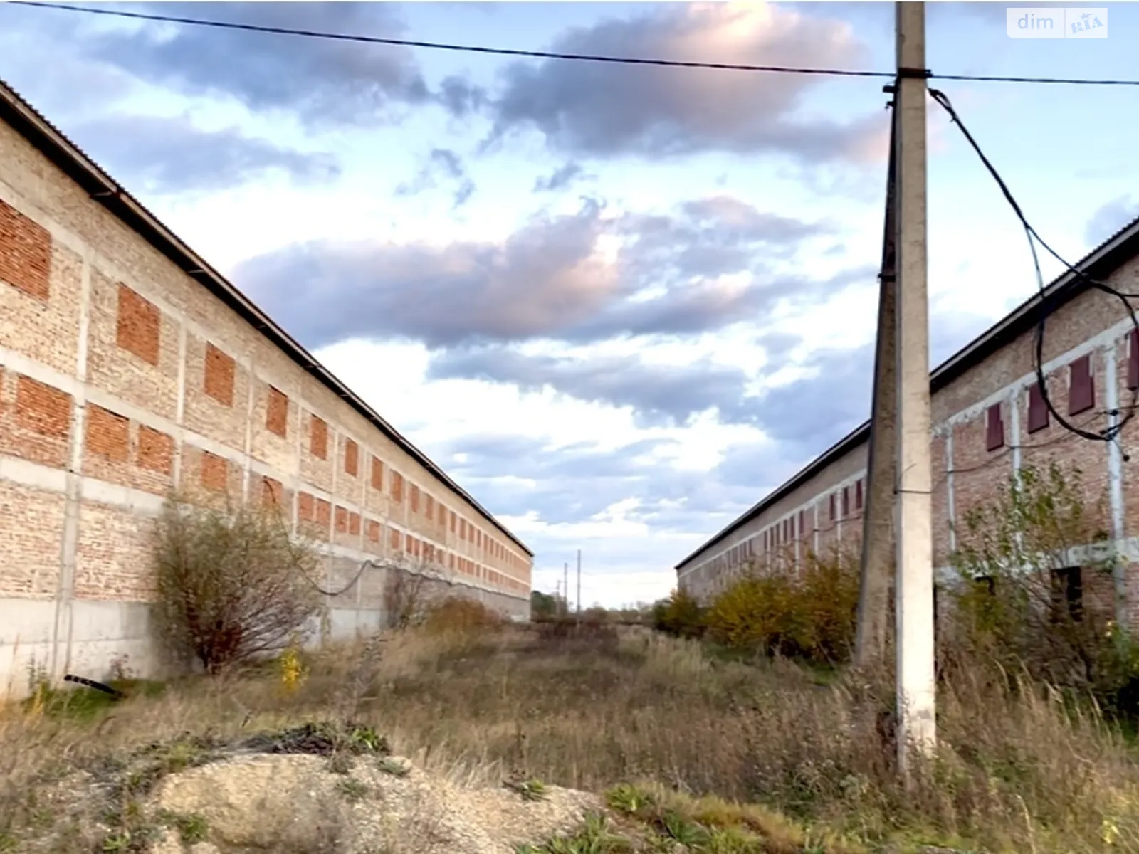 ул. Центральная Толстенькое, цена: 1930000 $ - фото 1