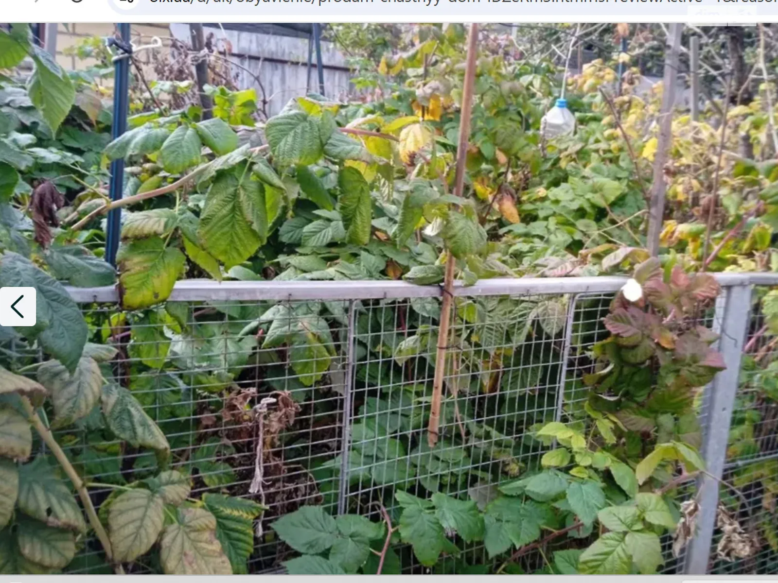 Продається одноповерховий будинок 75 кв. м з садом, цена: 35500 $ - фото 1