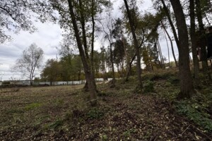 Продажа участка под жилую застройку, Киевская, Ходосовка (Обухов), Центральная улица