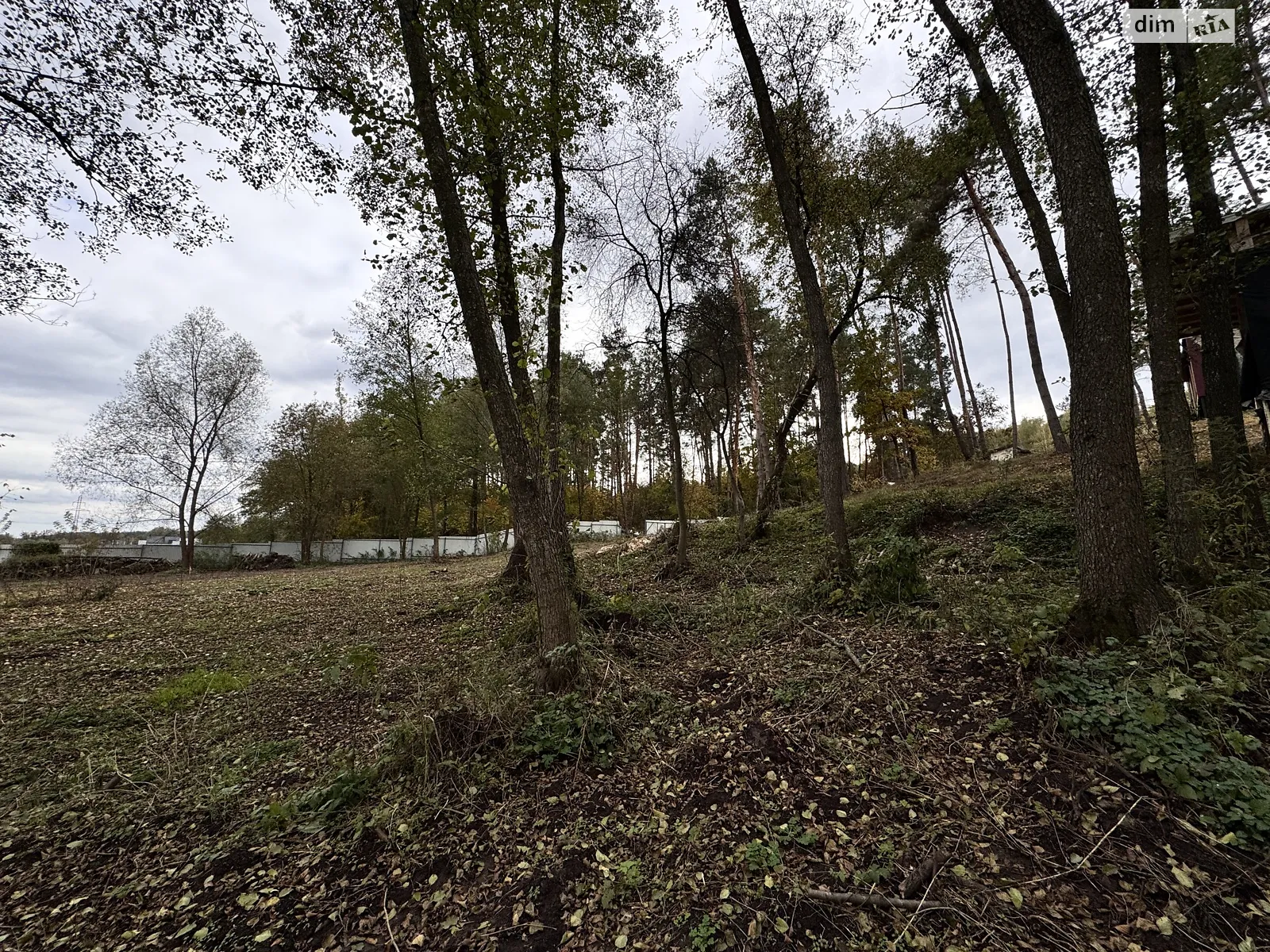 вул. Центральна Ходосівка (Обухів), цена: 60000 $ - фото 1