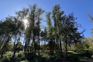 Продажа участка под жилую застройку, Киевская, Ходосовка (Обухов), Центральная улица