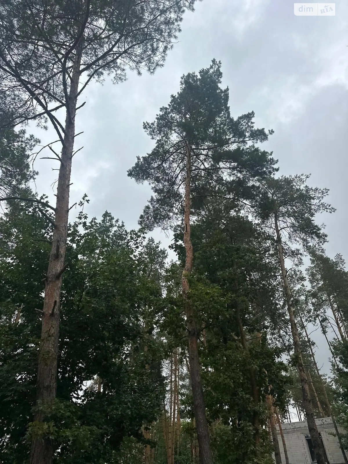 ул. Центральная Ходосовка (Обухов), цена: 78000 $ - фото 1