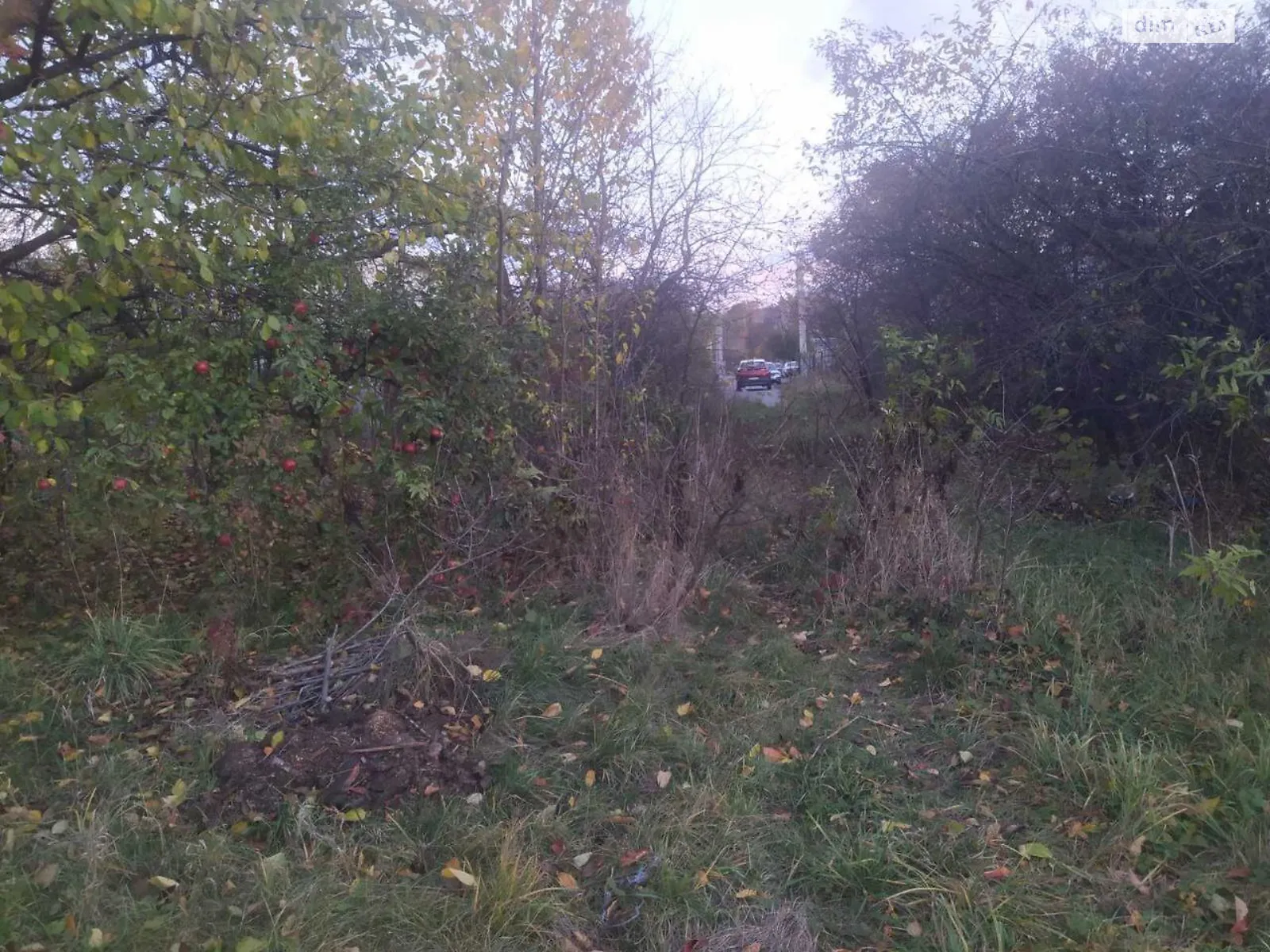 пров. Зелений Зарванці, цена: 70000 $ - фото 1