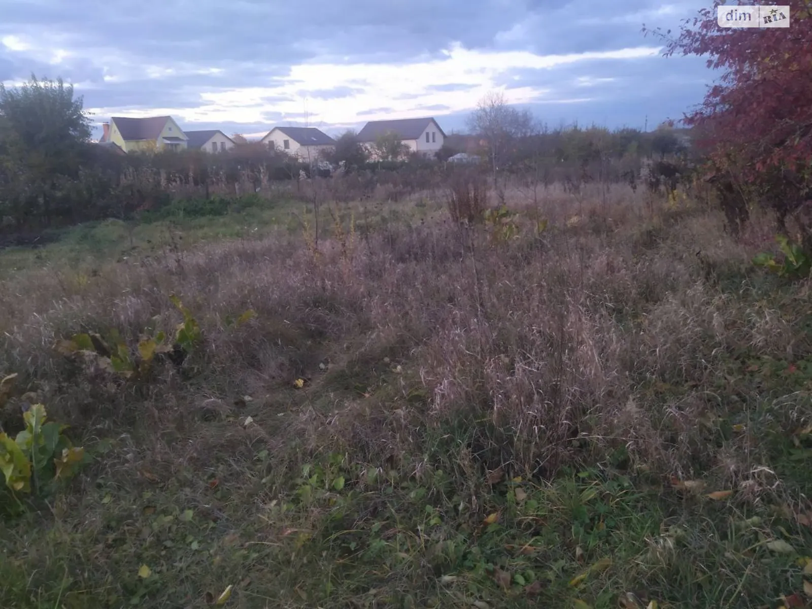 пров. Зелений Зарванці, цена: 70000 $ - фото 1