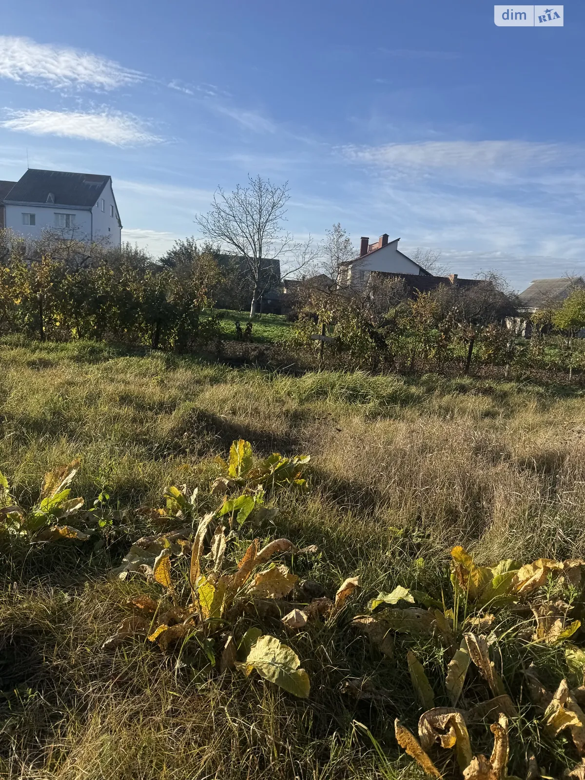 вул. Зелена Зарванці, цена: 70000 $ - фото 1