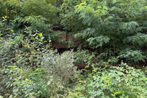 Аренда участков