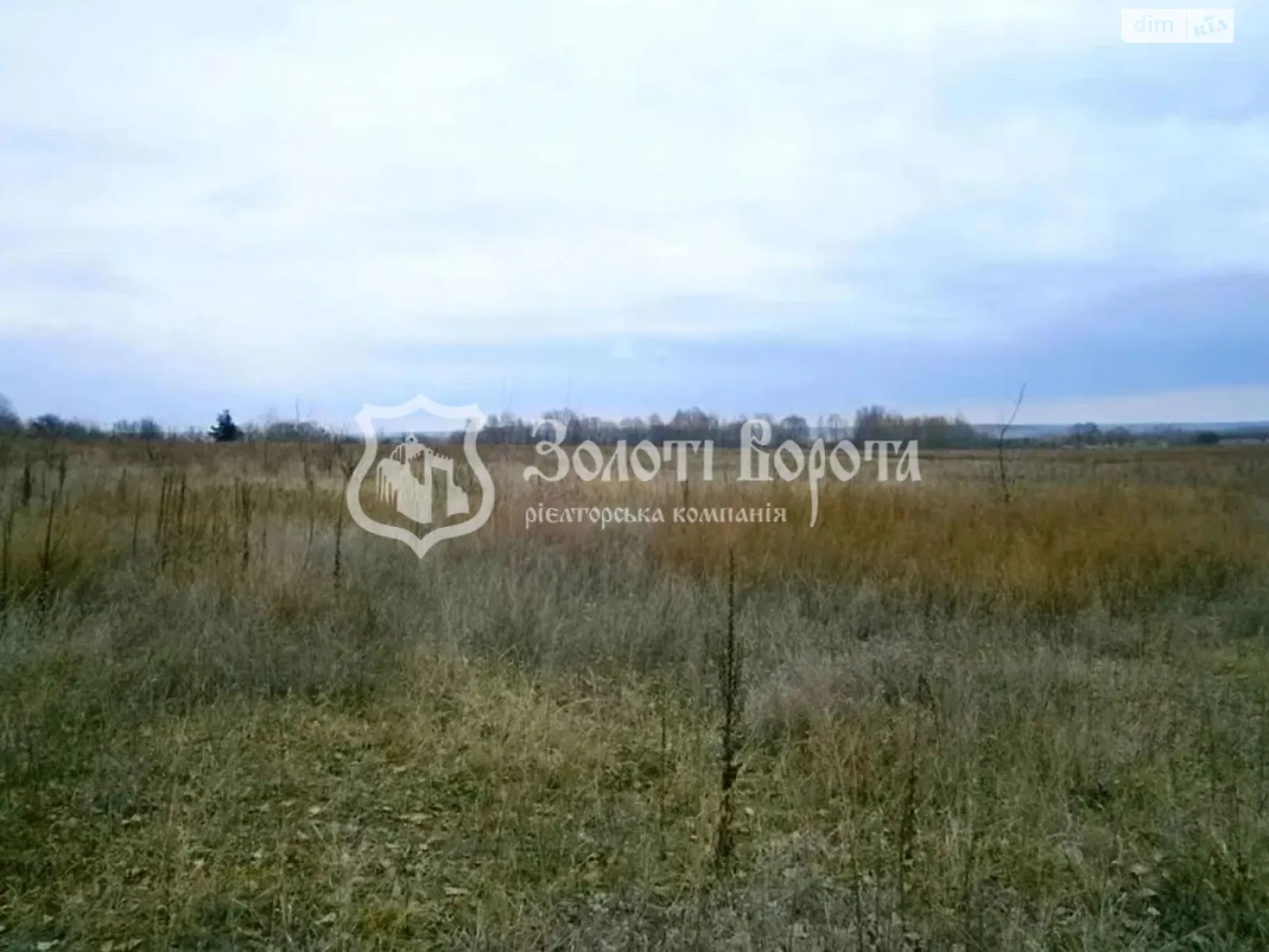 Дружня, цена: 12000 $ - фото 1