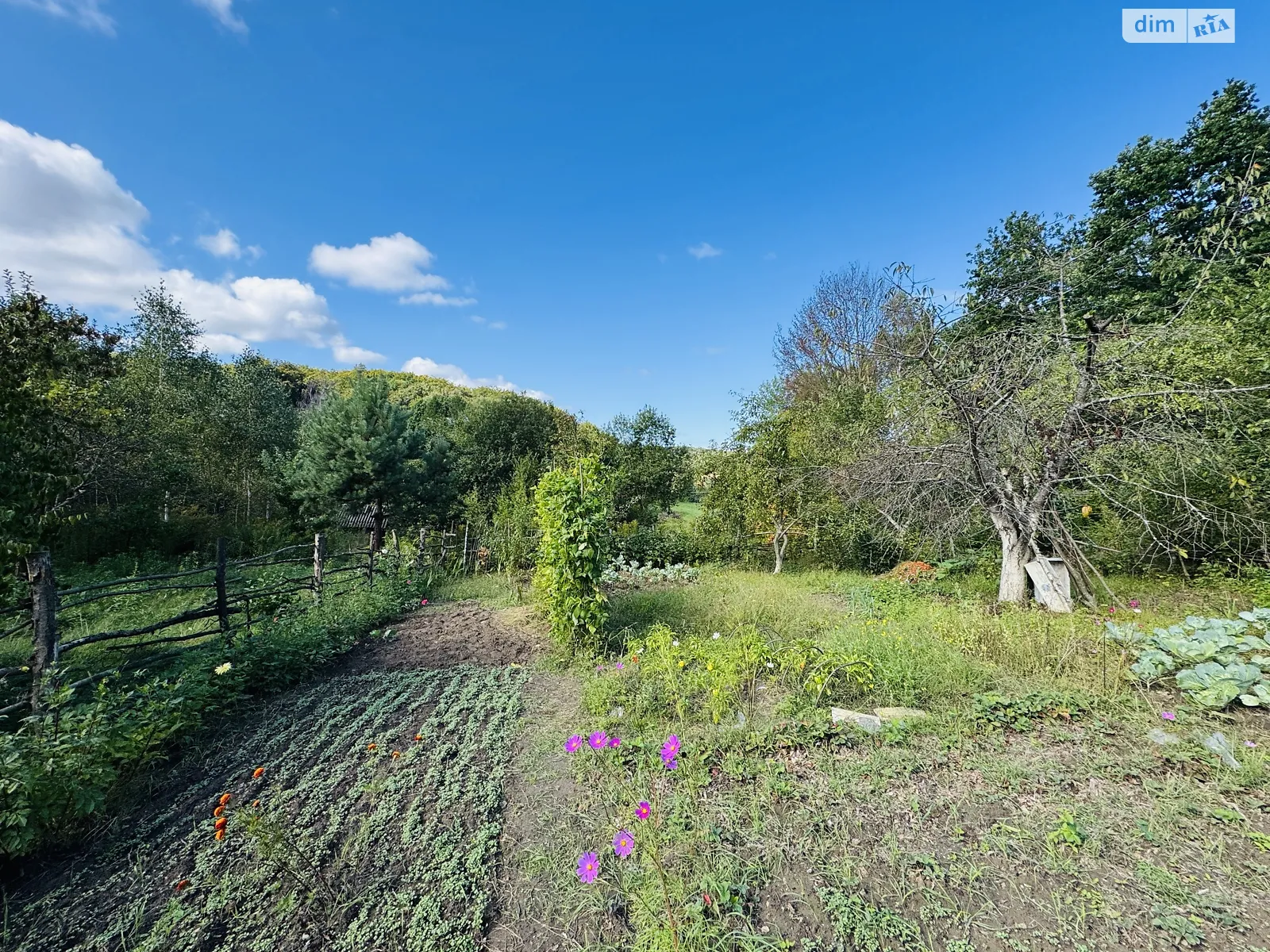 Продается земельный участок 5.9 соток в Львовской области, цена: 13800 $ - фото 1