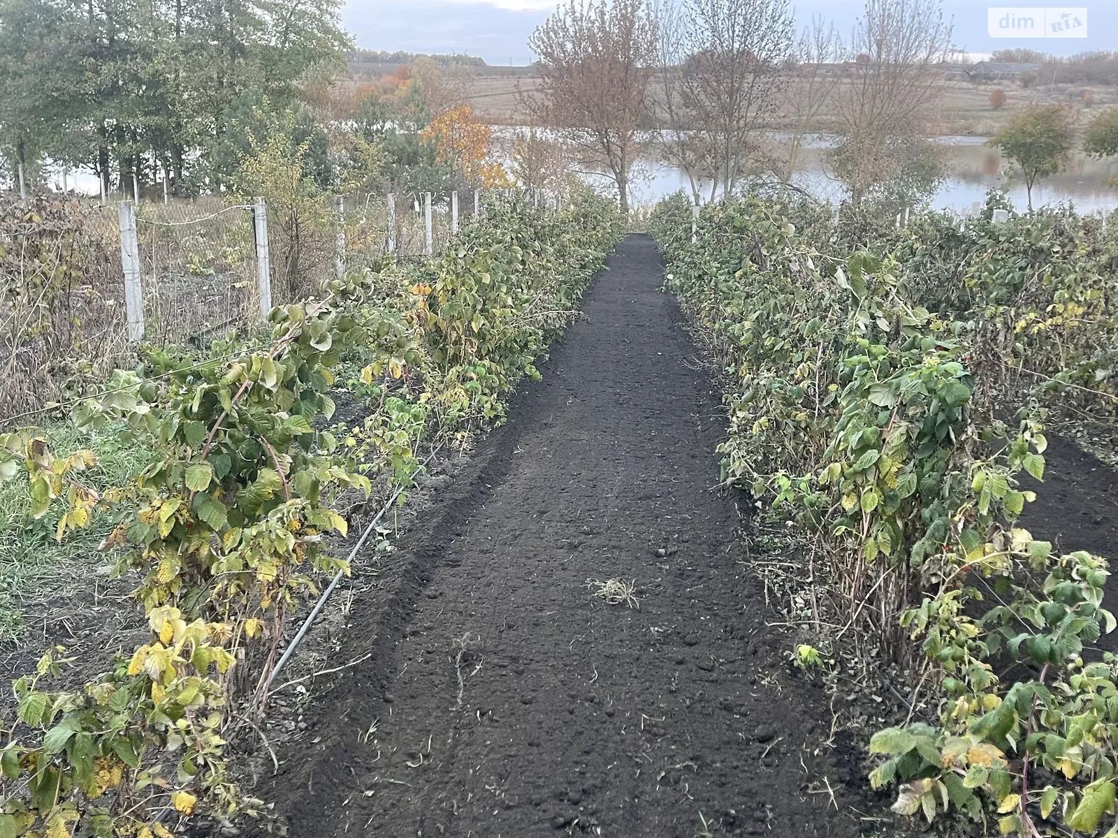 вул. Вороніна Цвіжин, цена: 910 $ - фото 1