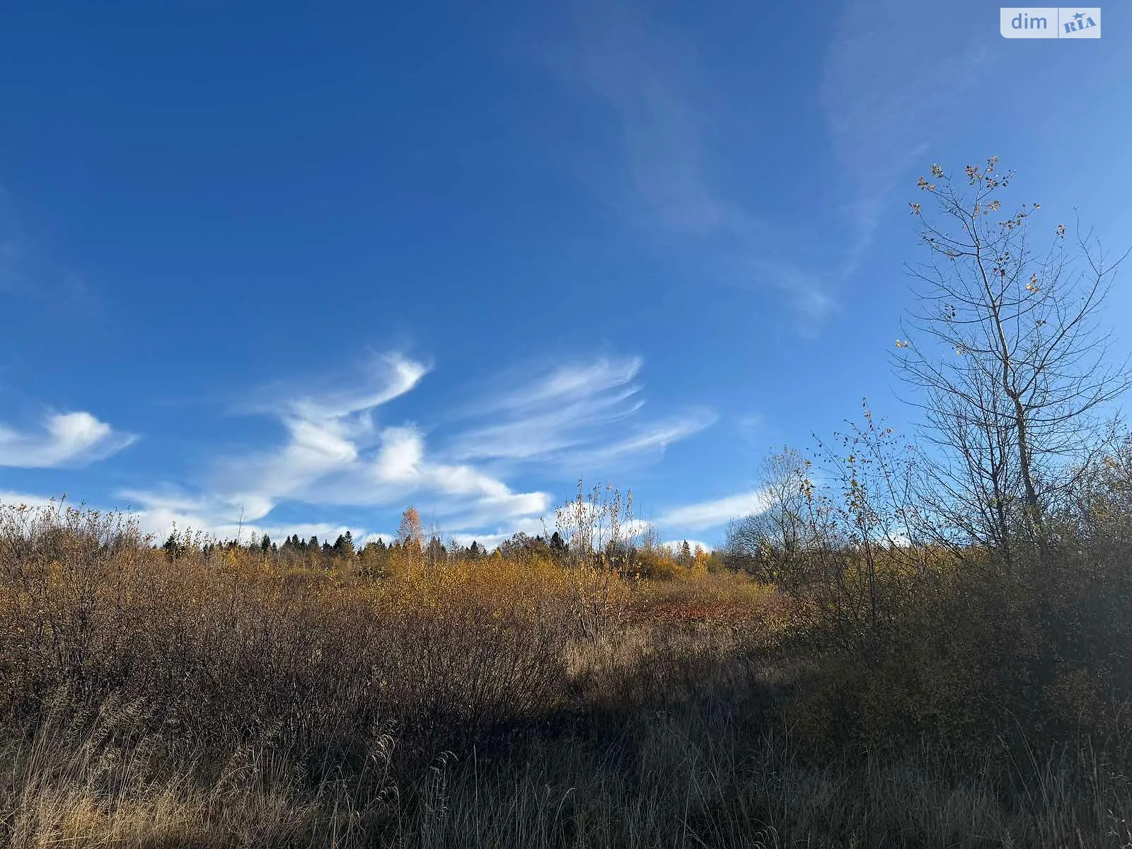 Сдается в аренду земельный участок 16.2 соток в Ивано-Франковской области, цена: 35556 грн - фото 1