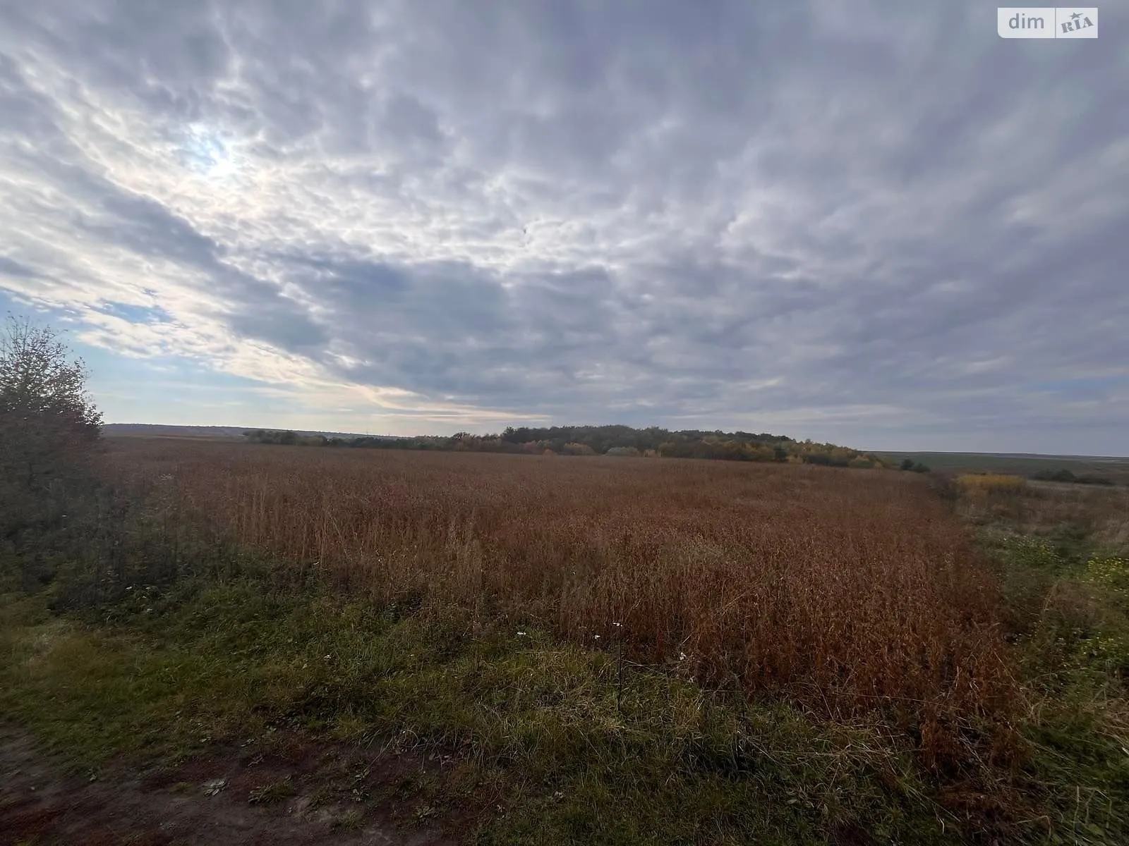 Сдается в аренду земельный участок 5.99 соток в Тернопольской области, цена: 95840 грн - фото 1