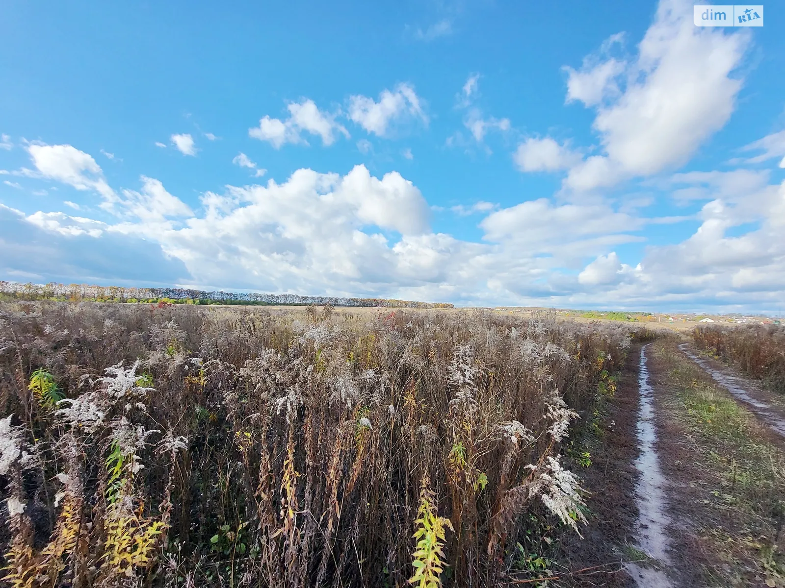Агрономічне, цена: 15000 $ - фото 1