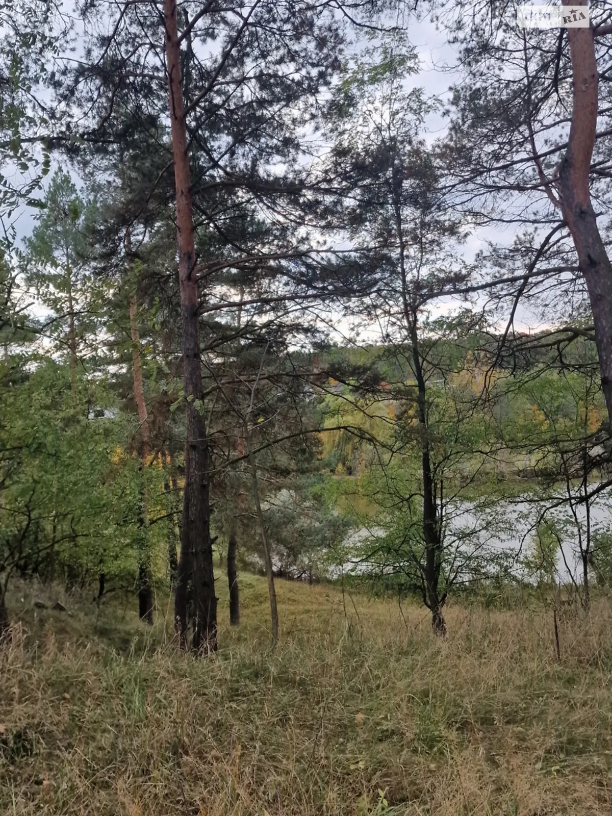 Стрижавка, цена: 16000 $ - фото 1