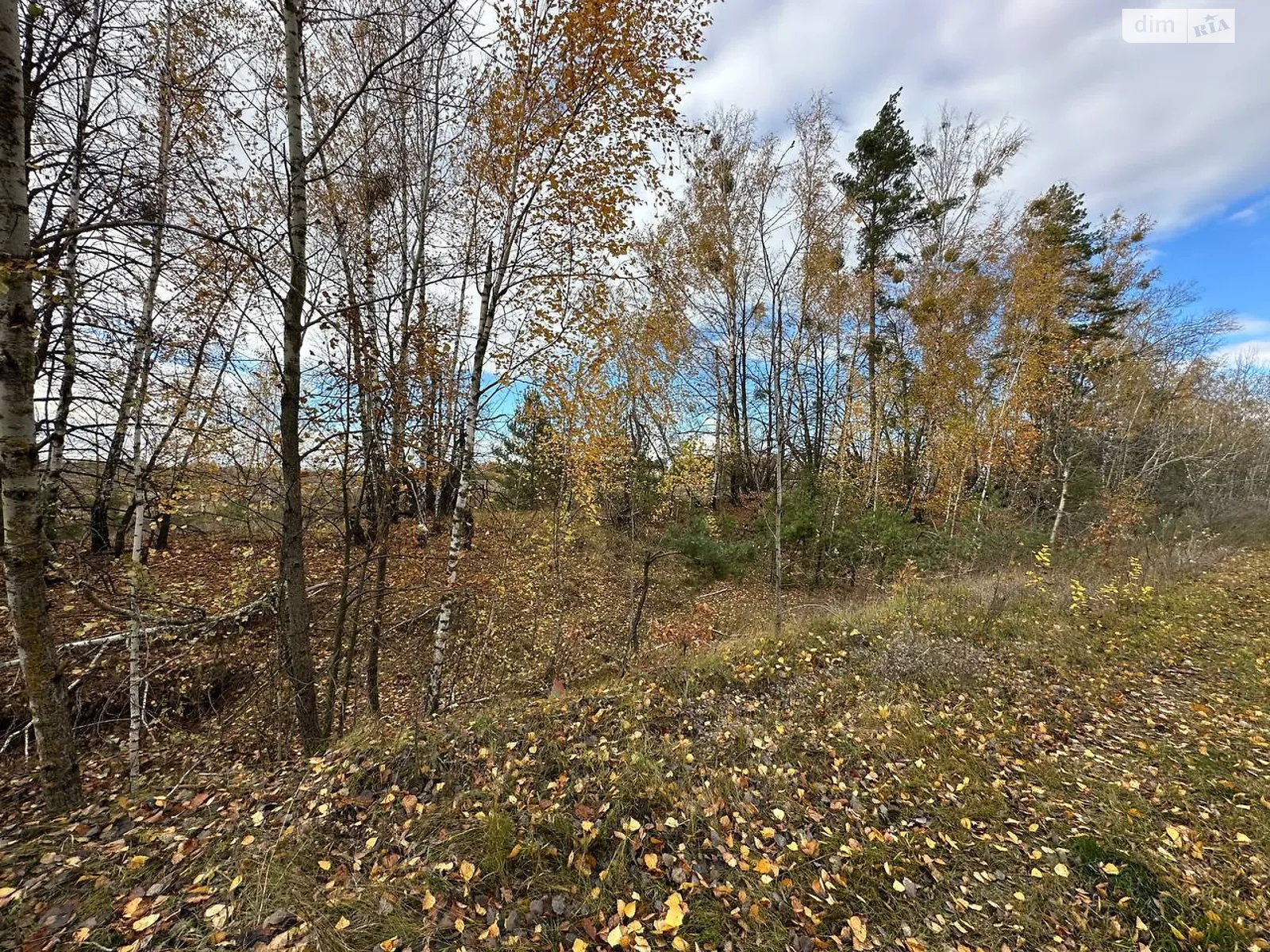 Продається земельна ділянка 38.59 соток у Київській області, цена: 11000 $ - фото 1