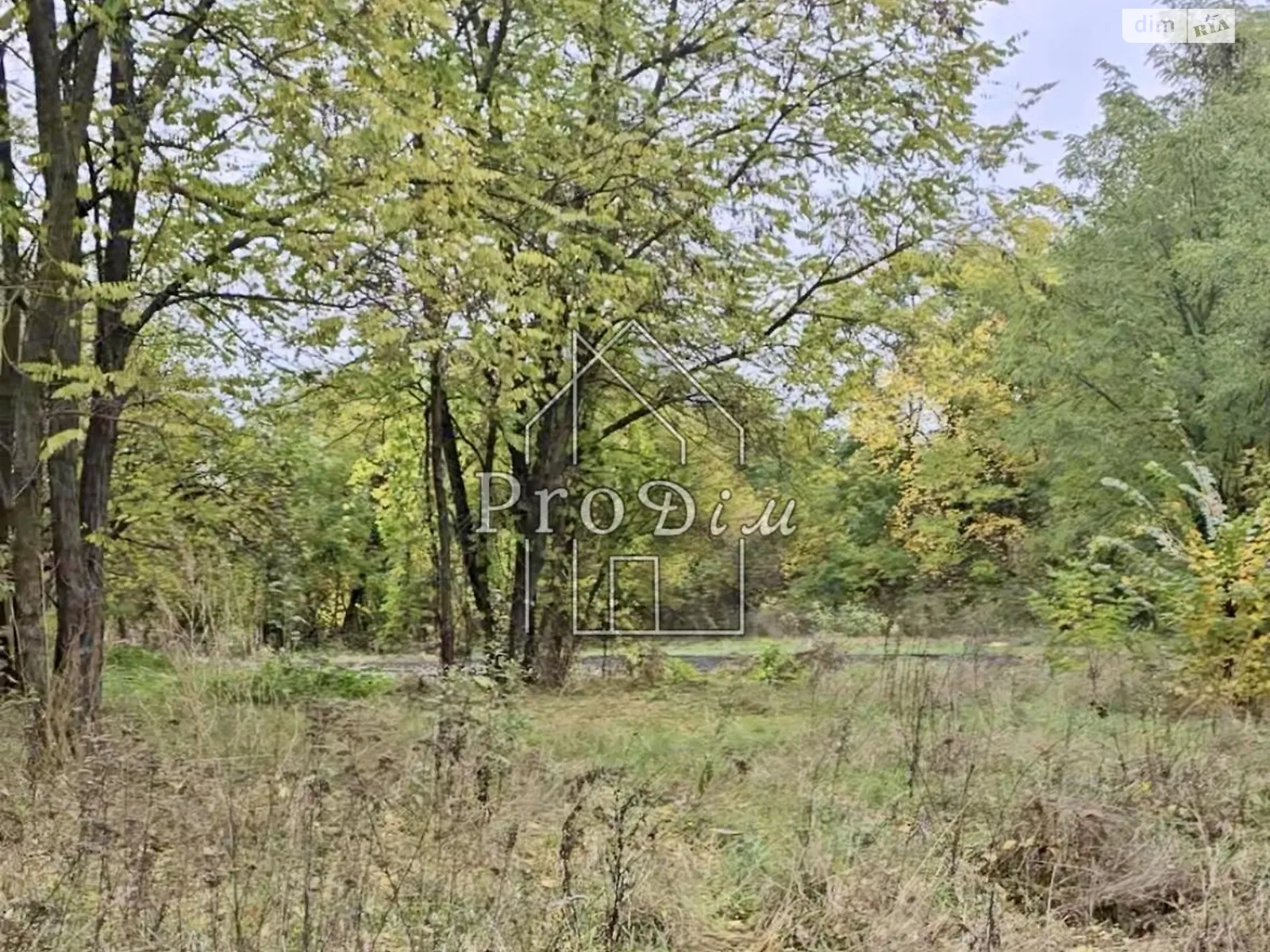 провулок Травневий Безугловка (Згуровка), цена: 6500 $ - фото 1