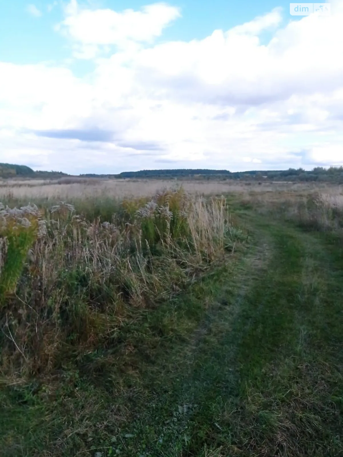 Здається в оренду земельна ділянка 11.3501 соток у Волинській області, цена: 22106 грн - фото 1