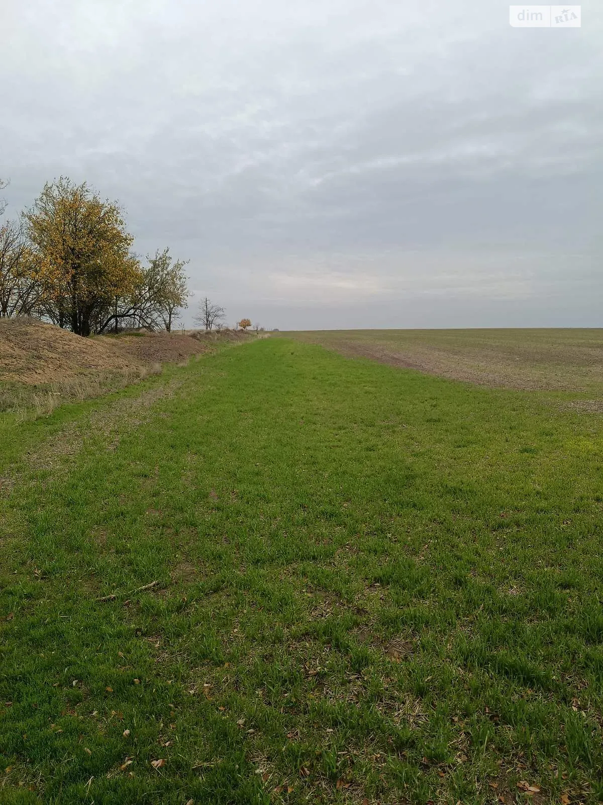 Сдается в аренду земельный участок 20 соток в Одесской области, цена: 68876 грн - фото 1